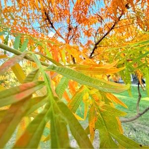 Meet your Posher, Jett